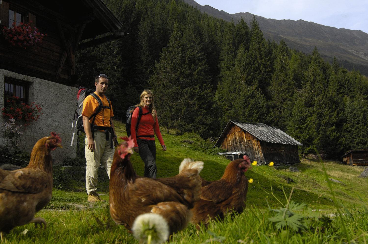 شقة نيوستيف ام ستوبيتا  في Aparthaus Camping Stubai المظهر الخارجي الصورة